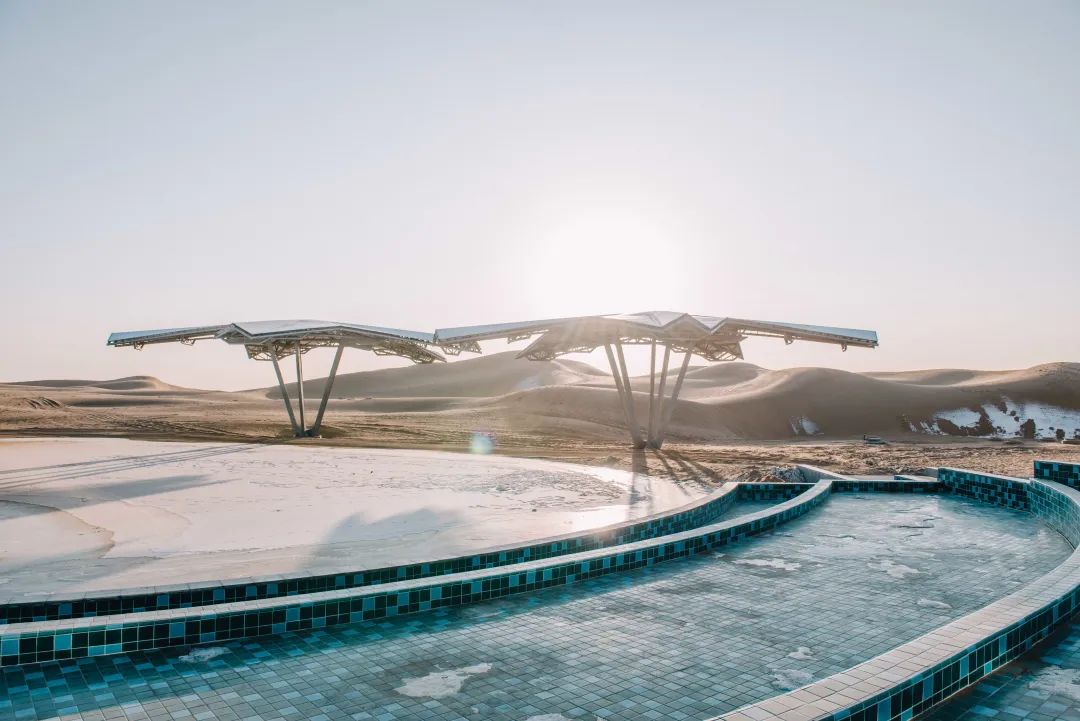 1637899001386002423.jpg 14.jpg