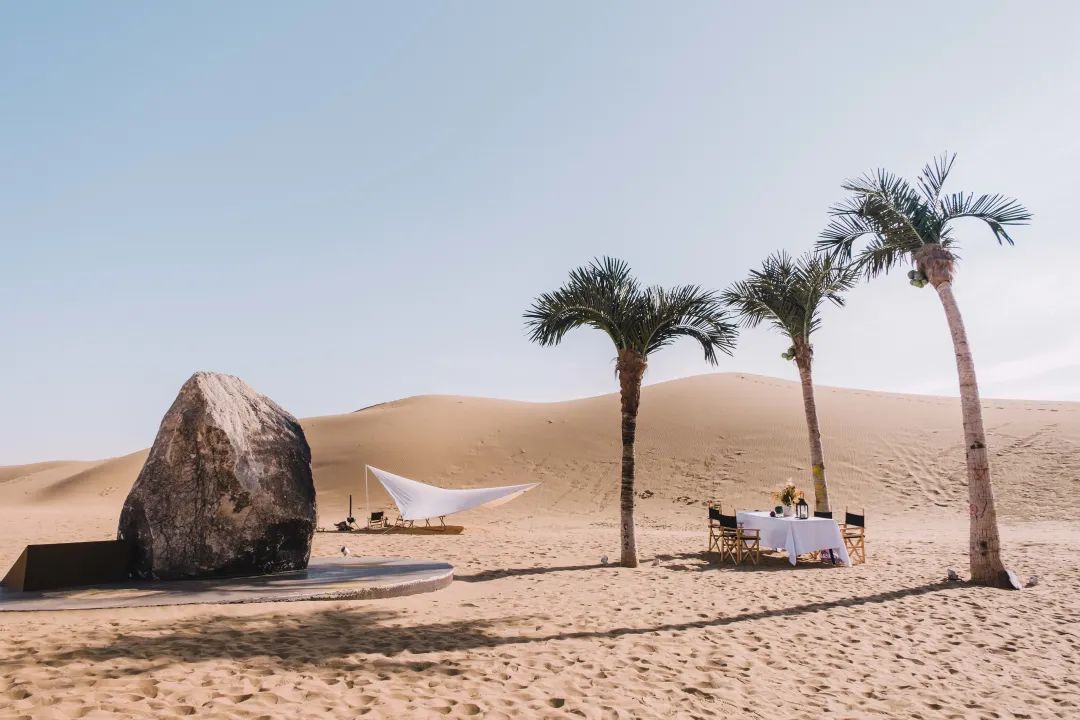 1637899034590076819.jpg 15.jpg