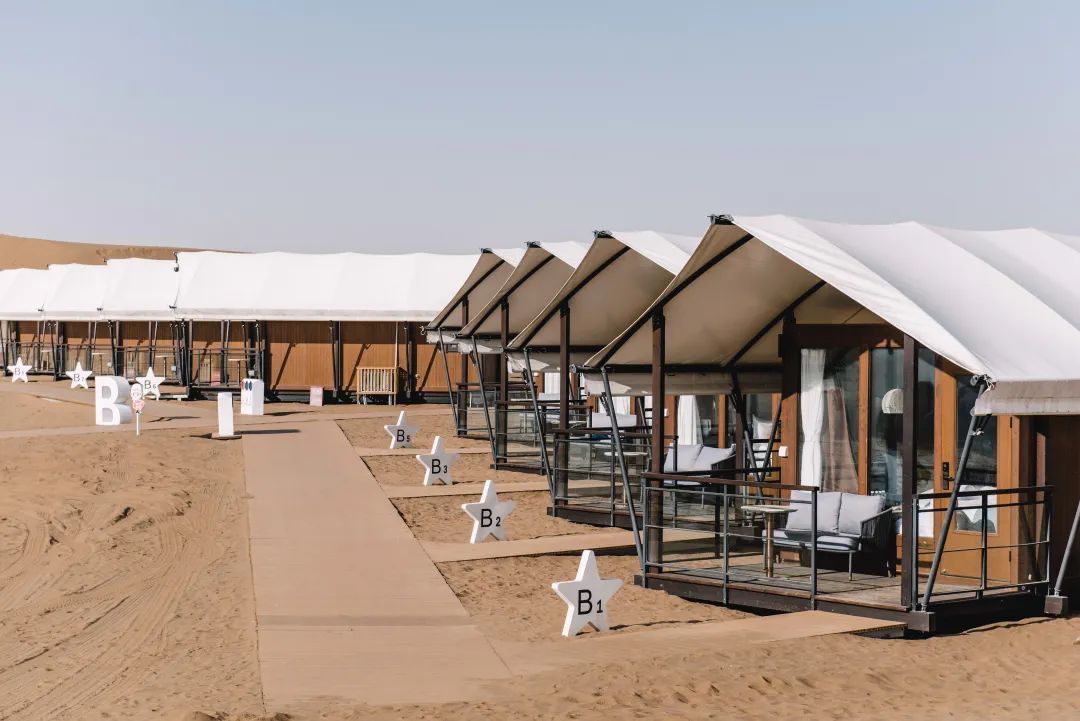 1637899084723092024.jpg 17.jpg