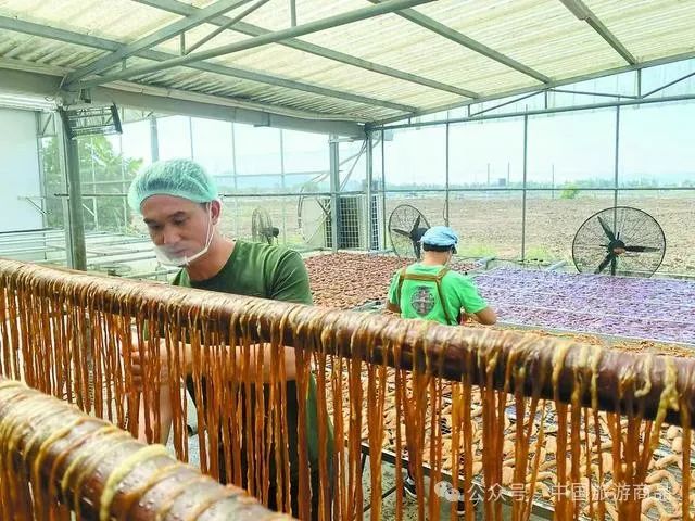 1730982949035082100.jpg 3.jpg