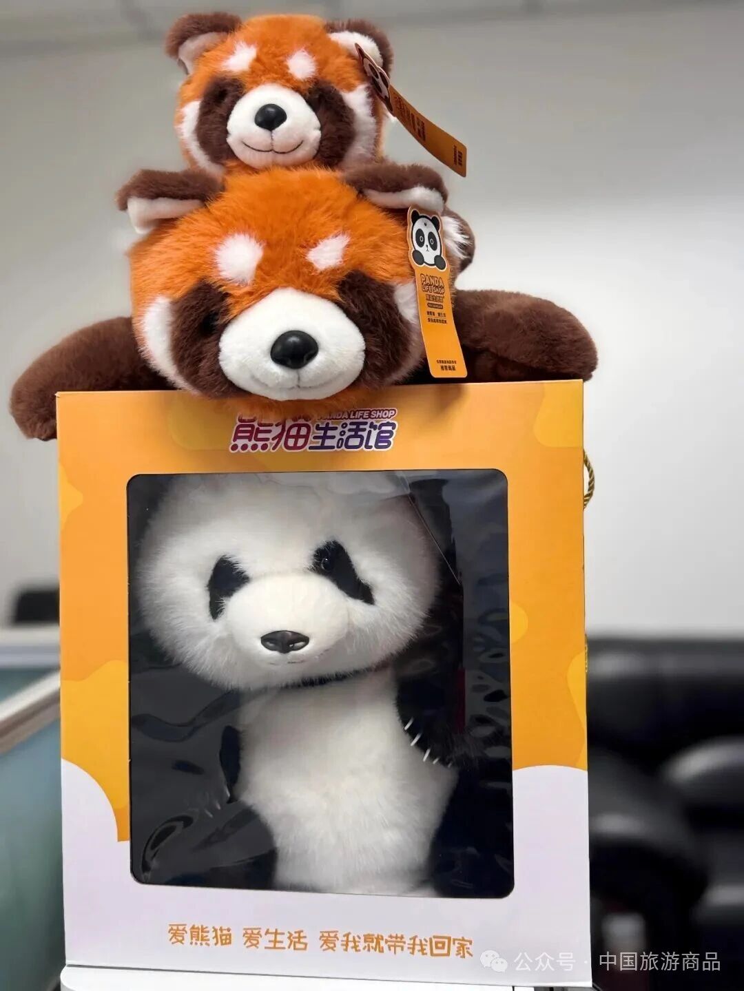 1762393487826026691.jpg 1762393487826026691.jpg