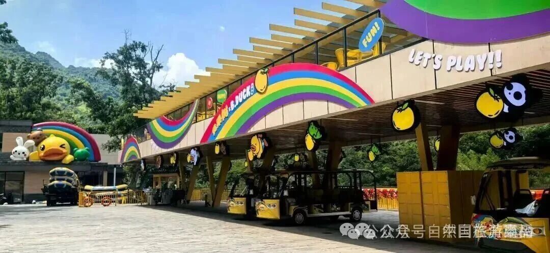 1766225724734041258.jpg 1766225724734041258.jpg